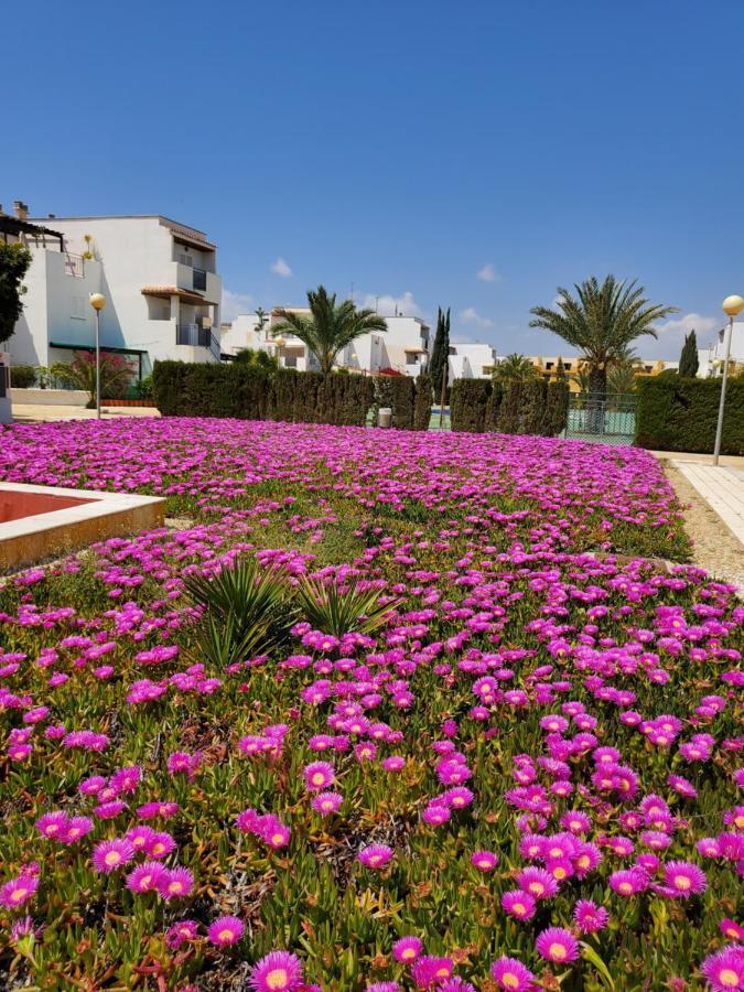 Apartment Naturista En Primera Linea!